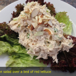 Chicken salad over a bed of red lettuce